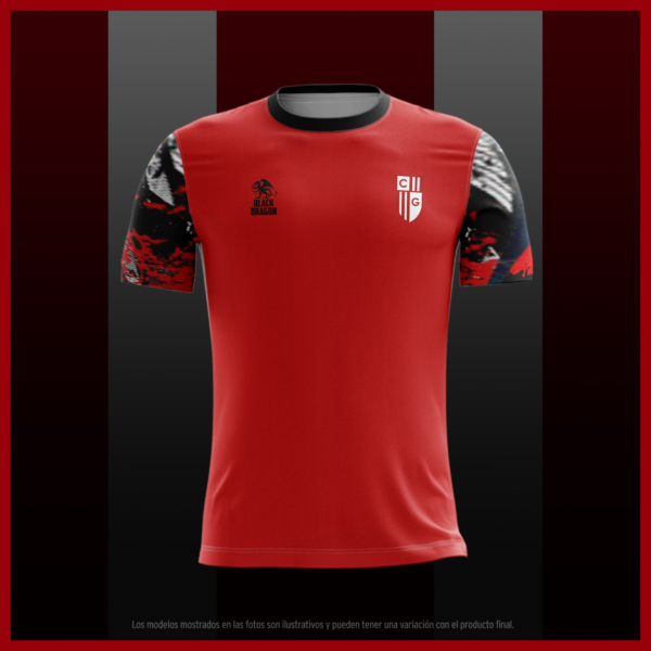 Remera entrenamiento - Imagen 2